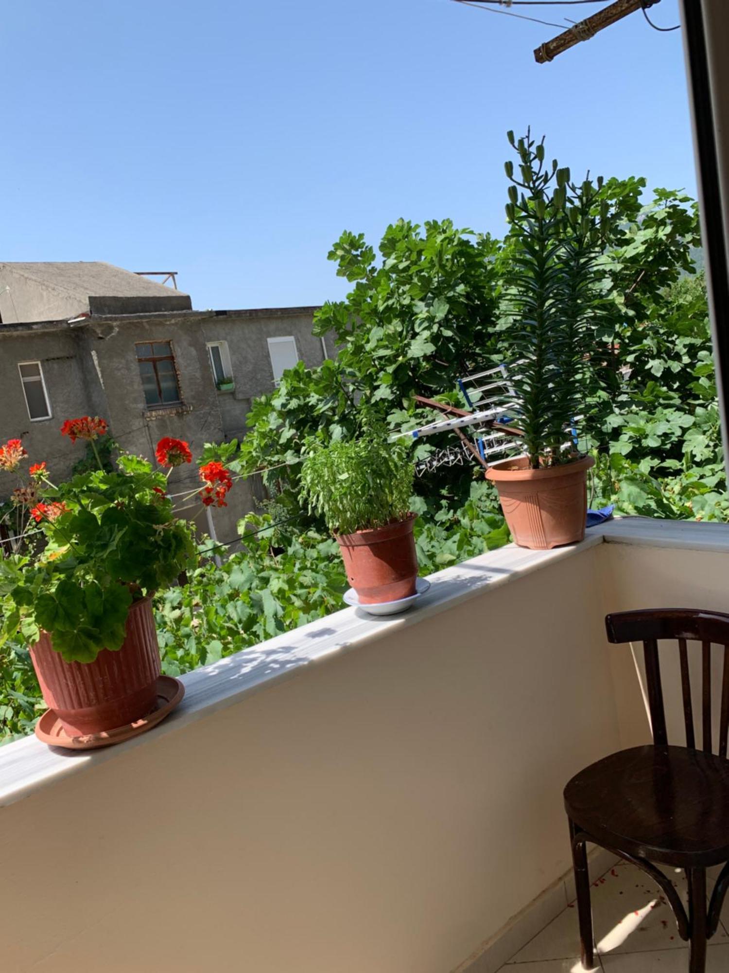 Guest House Dimos Kristi Permet Bagian luar foto