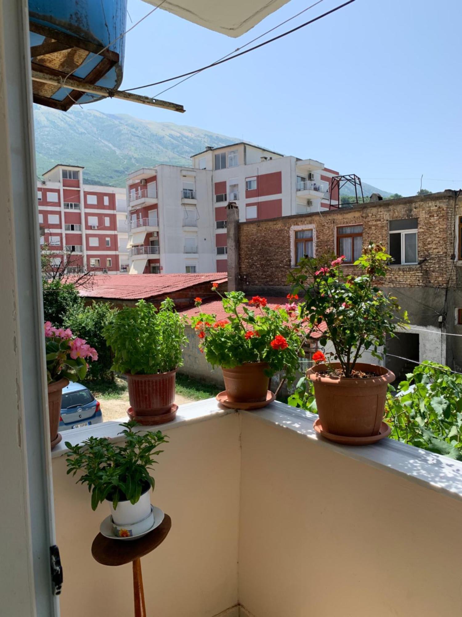 Guest House Dimos Kristi Permet Bagian luar foto
