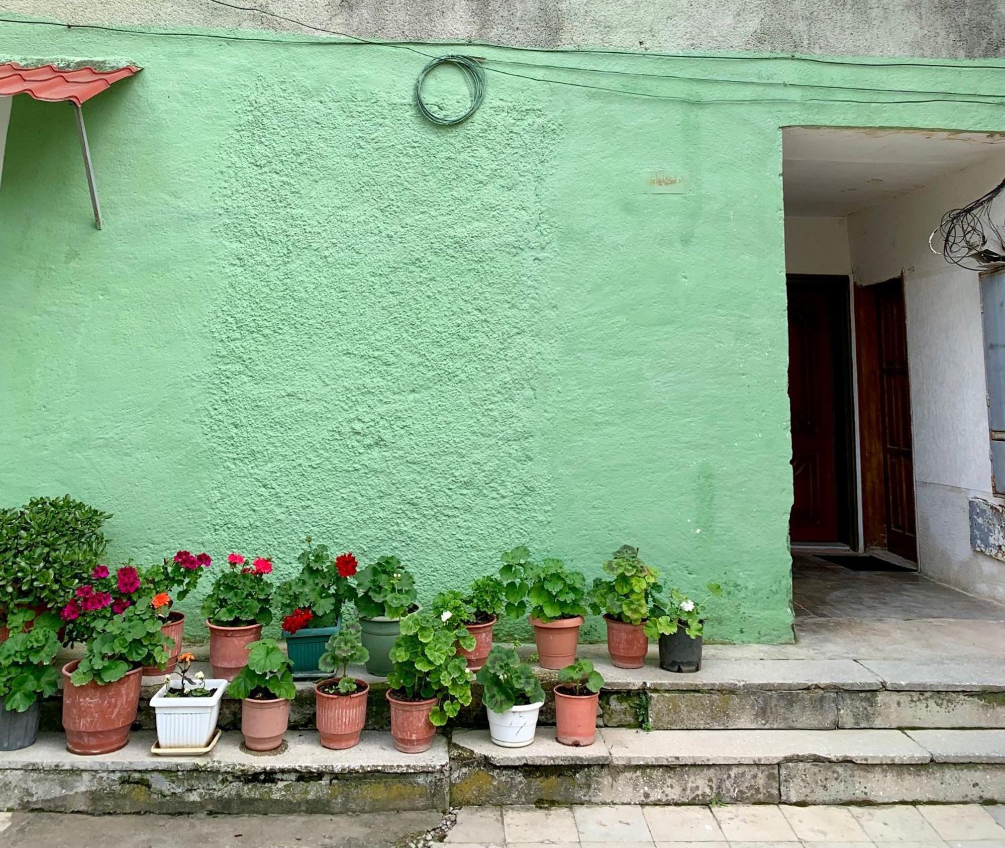 Guest House Dimos Kristi Permet Bagian luar foto